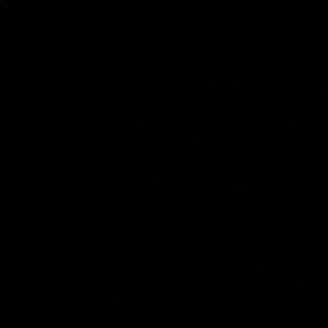 Meet your Posher, Brandi